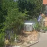 תמונה שצירף לקוח לביקורת על דור, גנן (2)
