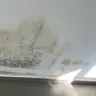 תמונה שצירף לקוח לביקורת על בראל, מאתר נזילות (1)