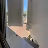 תמונה שצירף לקוח לביקורת על דניאל, צבע (1)