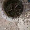 תמונה שצירף לקוח לביקורת על אריק, חברת ביובית (2)