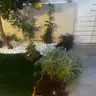 תמונה שצירף לקוח לביקורת על איציק, גנן (4)