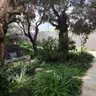תמונה שצירף לקוח לביקורת על רן, יועץ קרקע (1)
