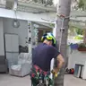 תמונה שצירף לקוח לביקורת על שמעון, גנן (1)