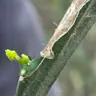 תמונה שצירף לקוח לביקורת על רן, יועץ קרקע (4)