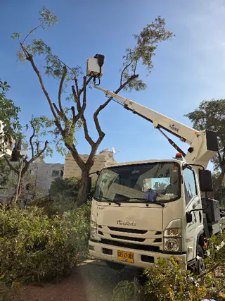 עבודה של אלירן, מפעיל מנוף (3)