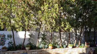 עבודה של אילן, גנן (10)