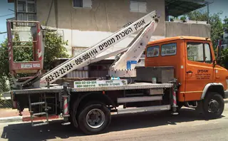 עבודה של מאיר, גוזם עצים (4)