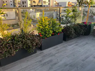 עבודה של דניאל, גנן (3)