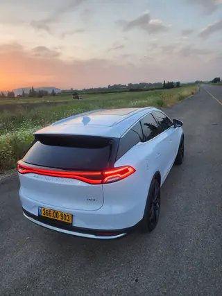 עבודה של גל, השחרת חלונות לרכב (10)