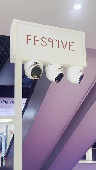 עבודה של דניס, טכנאי אזעקות ומצלמות (1)