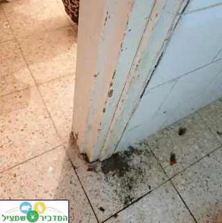 עבודה של יהודה, מדביר (5)
