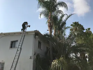 עבודה של אריאל, גוזם עצים (1)