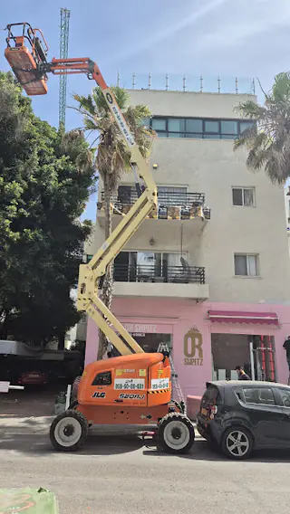 עבודה של מאיר, גוזם עצים (1)