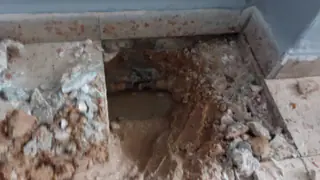 עבודה של קובי, אינסטלטור (100)