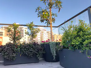עבודה של דניאל, גנן (12)