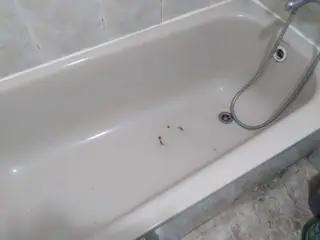עבודה של אביאור, קבלן שיש (23)