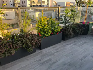 עבודה של דניאל, גנן (14)