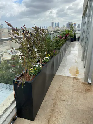 עבודה של דניאל, גנן (15)