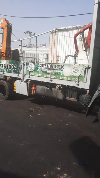עבודה של אלי, גוזם עצים (17)