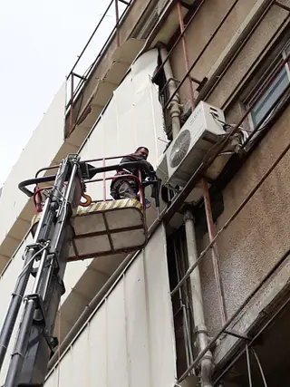 עבודה של מאיר, גוזם עצים (12)