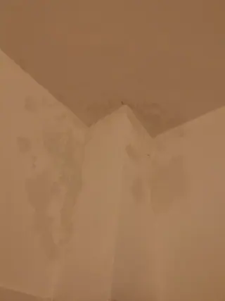עבודה של קובי, אינסטלטור (156)