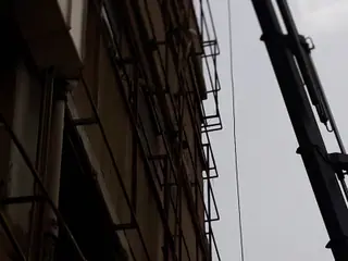 עבודה של מאיר, גוזם עצים (14)