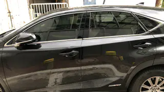 עבודה של פיליפ, ציפויים לרכב (36)