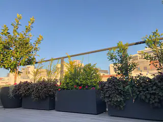 עבודה של דניאל, גנן (13)