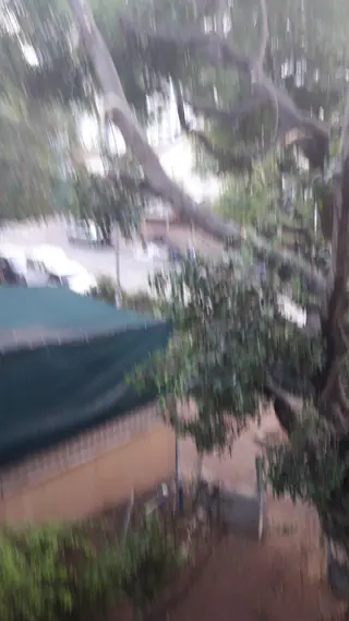 עבודה של אלי, גוזם עצים (24)