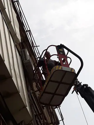 עבודה של מאיר, גוזם עצים (16)