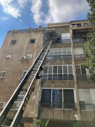 עבודה של שניר, מוביל (5)