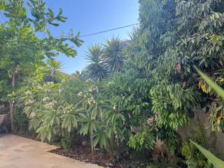עבודה של אילן, גנן (22)