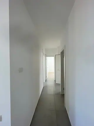 עבודה של דניאל, צבע (24)