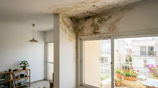 מה עושים כשיש כתמי רטיבות בתקרה? איור למאמר: מה עושים כשיש כתמי רטיבות בתקרה?